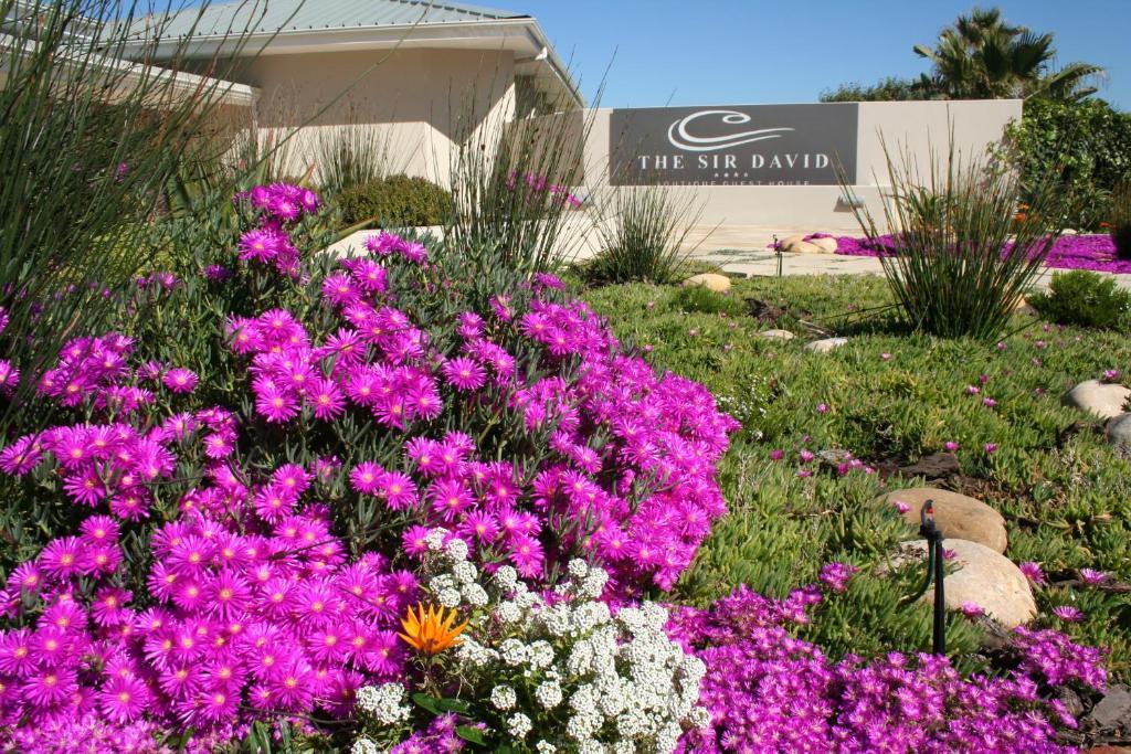 The Sir David Boutique Guest House Bloubergstrand Exterior photo